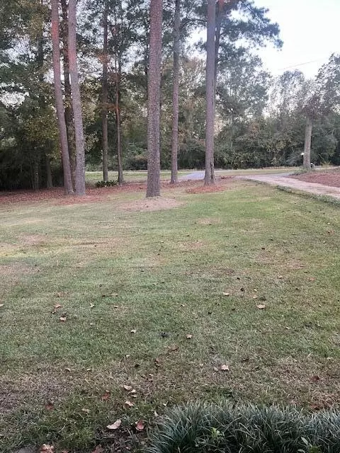 Exterior - 3271 Us-11, Laurel, MS 39443 photo 5 of 5