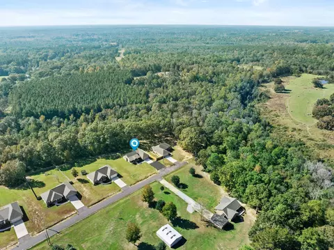 45 Blain Rd, Purvis, MS 39475 photo 37