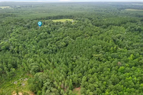 516 Smith Rd, Carson, MS 39427 photo 59