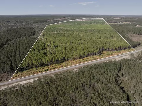 0 Mc Neil Steephollow Rd, Poplarville, MS 39470
