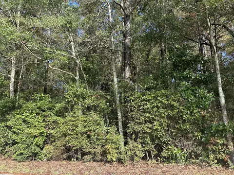 00 Graham Dr, Laurel, MS 39443 photo 3