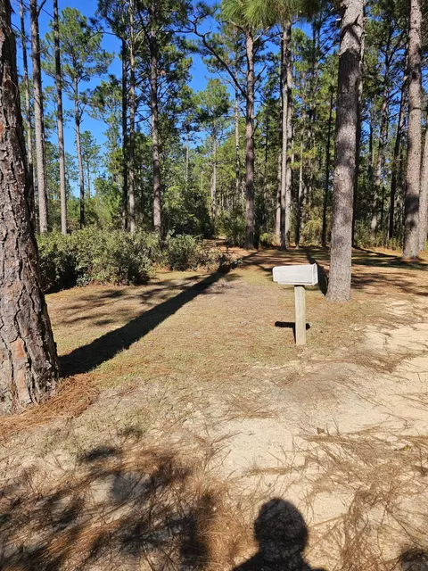 Other - 134 B Lowe Ln, Lumberton, MS 39455 photo 3 of 5