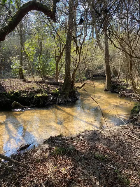 tbd New Union Rd, Columbia, MS 39429