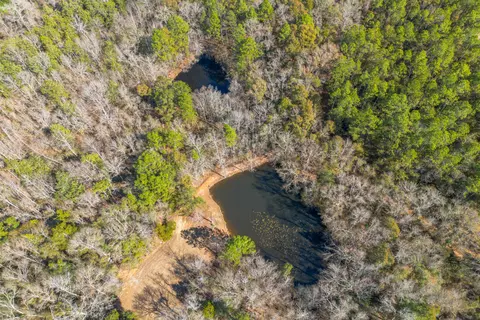 269 Geiger Rd, Lucedale, MS 39452 photo 21