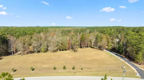 View/Area - 865 Oloh Rd, Sumrall, MS 39482 photo 3 of 6