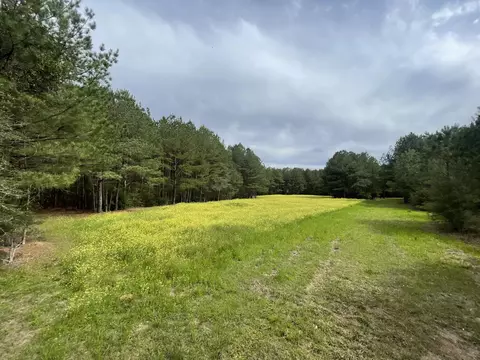 00 Lampton Hilltop Rd, Columbia, MS 39429
