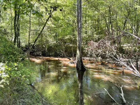 00 Dykes Chapel Rd, Richton, MS 39476