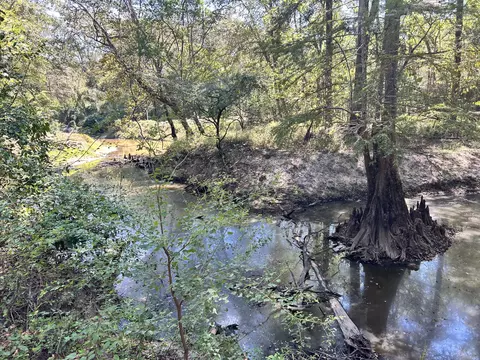 0 Ms-15, Ellisville, MS 39437