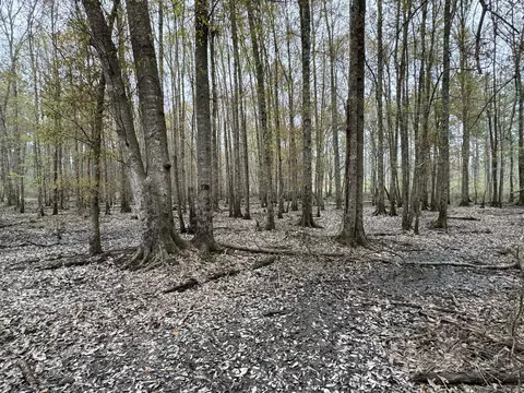 0 Ms-15, Ellisville, MS 39437