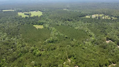 0 Stout Bond Rd, Wiggins, MS 39577 photo 2