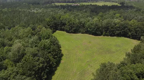 0 Stout Bond Rd, Wiggins, MS 39577