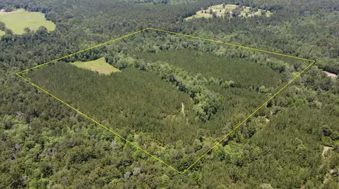 0 Stout Bond Rd, Wiggins, MS 39577 photo 3