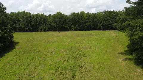 0 Stout Bond Rd, Wiggins, MS 39577 photo 4
