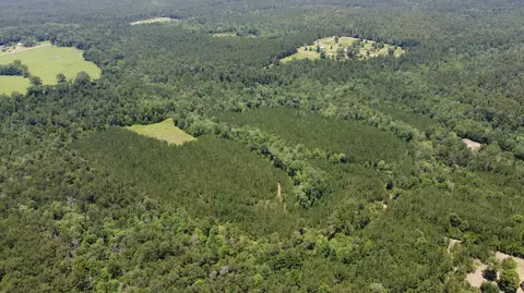 0 Stout Bond Rd, Wiggins, MS 39577 photo 6
