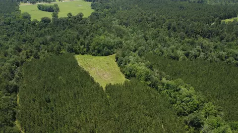 0 Stout Bond Rd, Wiggins, MS 39577 photo 7