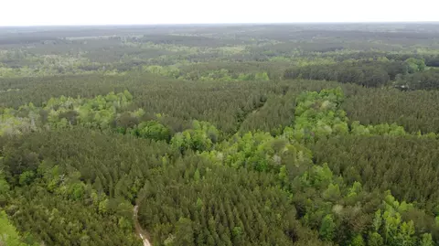 0 Pugh Rd, Shubuta, MS 39360