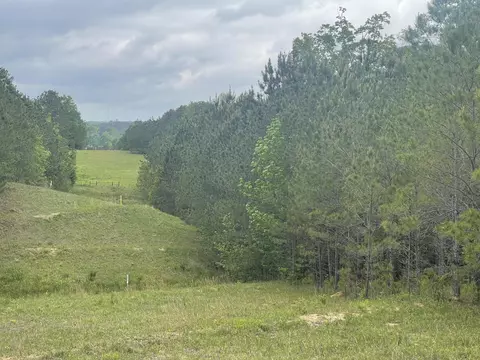 0 Co Rd 1725, Bay Springs, MS 39422