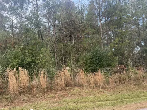 17 Joe Stockstill Rd, Carriere, MS 39426