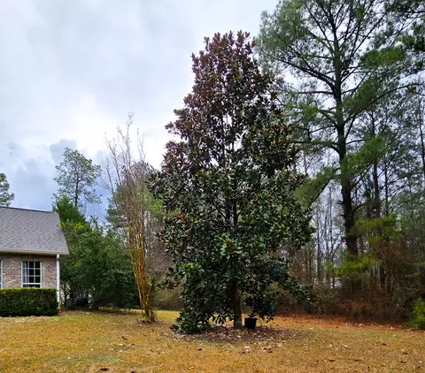 Exterior - 36 Walker Hill Rd, Sumrall, MS 39482 photo 8 of 8