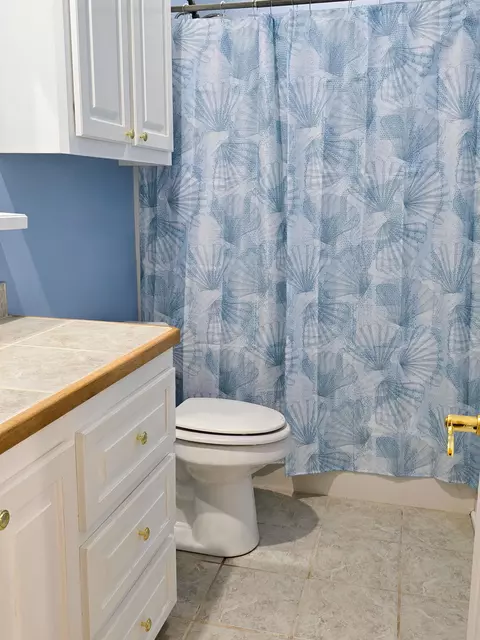 Bath - 36 Walker Hill Rd, Sumrall, MS 39482 photo 4 of 5