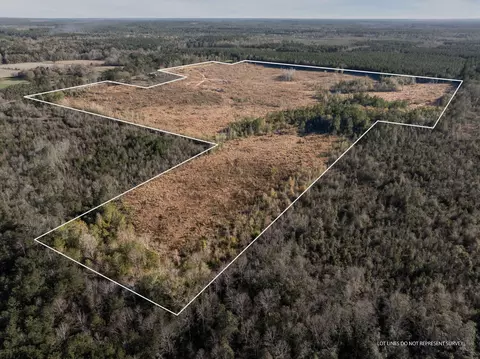 84 Ac Hattie Ln, Columbia, MS 39429