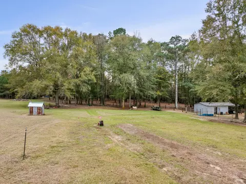 81 Mill Rd, Carson, MS 39427 photo 31