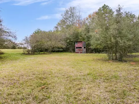 81 Mill Rd, Carson, MS 39427 photo 37