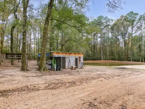81 Mill Rd, Carson, MS 39427 photo 28