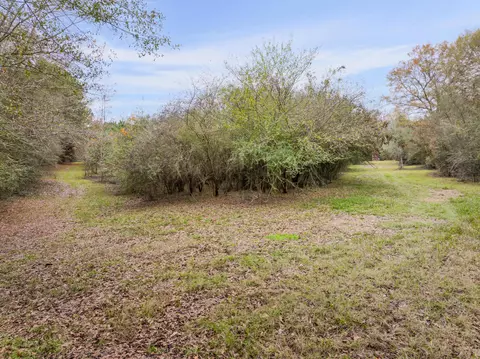 81 Mill Rd, Carson, MS 39427 photo 34