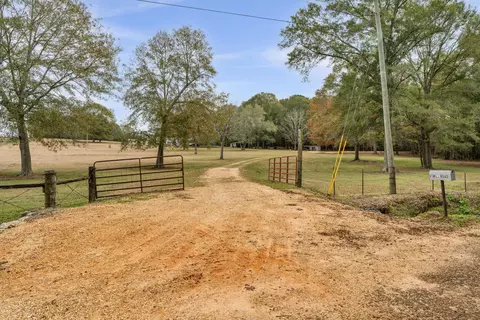 81 Mill Rd, Carson, MS 39427 photo 4
