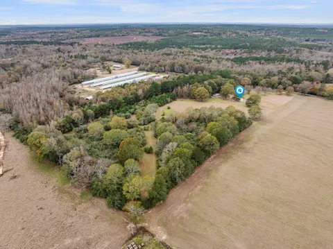 81 Mill Rd, Carson, MS 39427 photo 44