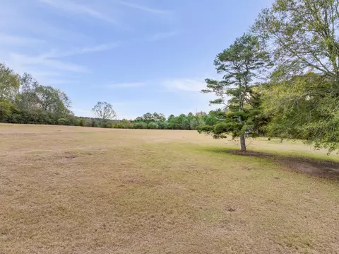81 Mill Rd, Carson, MS 39427 photo 30