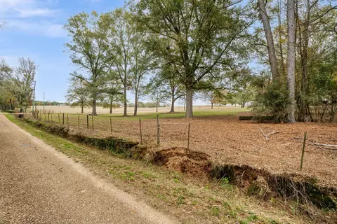 81 Mill Rd, Carson, MS 39427 photo 5