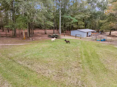 81 Mill Rd, Carson, MS 39427 photo 32