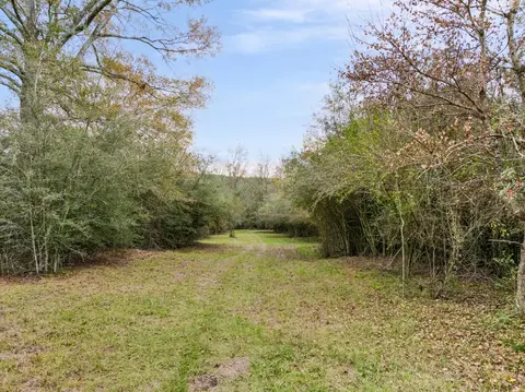81 Mill Rd, Carson, MS 39427 photo 35