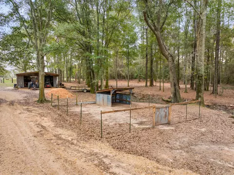 81 Mill Rd, Carson, MS 39427 photo 29