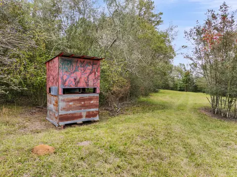 81 Mill Rd, Carson, MS 39427 photo 36