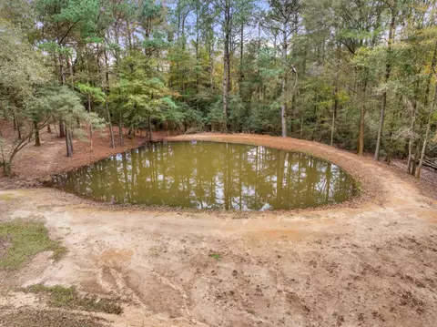 81 Mill Rd, Carson, MS 39427 photo 23