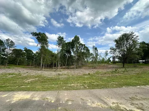 000 Goodluck Rd, Petal, MS 39465 photo 3