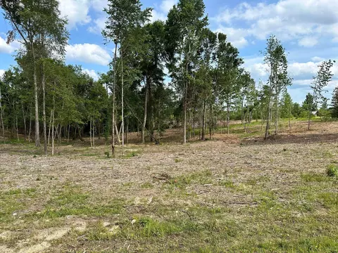 000 Goodluck Rd, Petal, MS 39465 photo 2