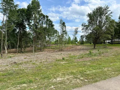 000 Goodluck Rd, Petal, MS 39465 photo 4
