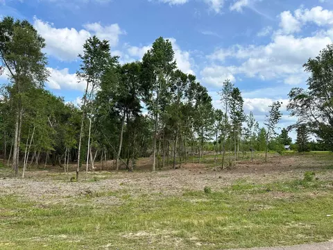 000 Goodluck Rd, Petal, MS 39465 photo 8