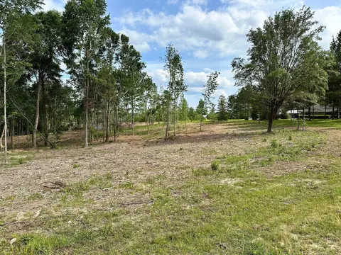 000 Goodluck Rd, Petal, MS 39465 photo 7