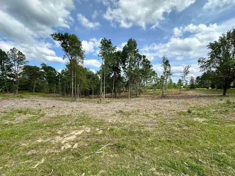 000 Goodluck Rd, Petal, MS 39465 photo 5