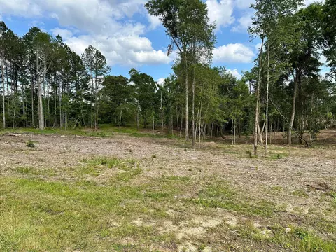 000 Goodluck Rd, Petal, MS 39465 photo 6