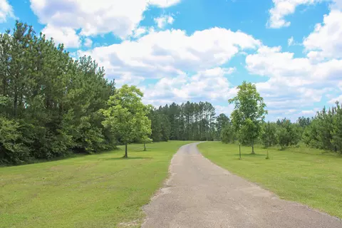 000 Goodluck Rd, Petal, MS 39465 photo 9