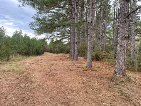 000 Buck Stuart Rd, Poplarville, MS 39470