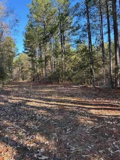 000 Grantham Rd, Sumrall, MS 39482 photo 4