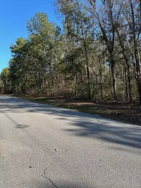 000 Grantham Rd, Sumrall, MS 39482 photo 6