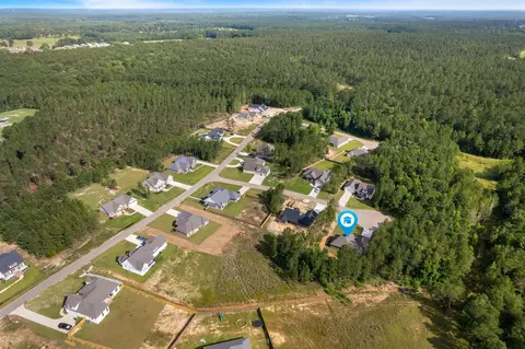 View/Area - 12 Brunswick Pt, Sumrall, MS 39482 photo 1 of 4